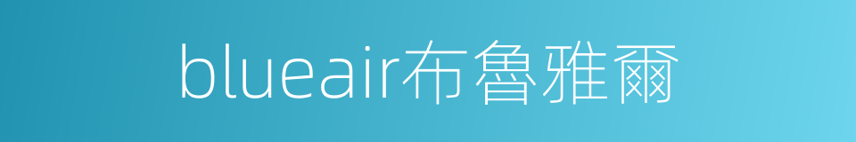 blueair布魯雅爾的同義詞