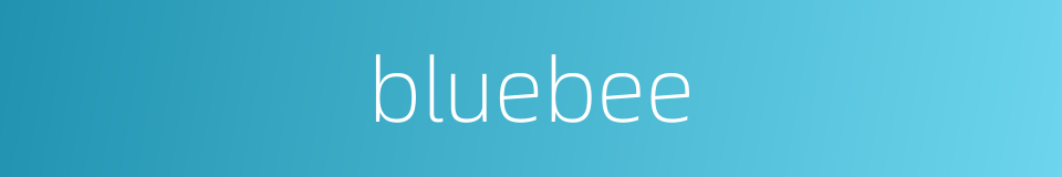 bluebee的同义词
