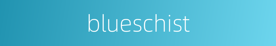 blueschist的同义词