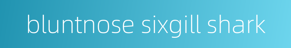 bluntnose sixgill shark的同义词