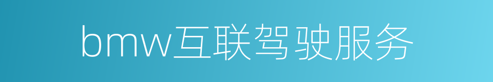 bmw互联驾驶服务的同义词