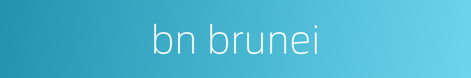 bn brunei的同义词
