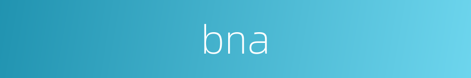 bna的同义词