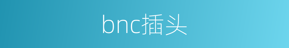 bnc插头的同义词