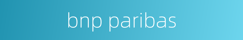 bnp paribas的同义词