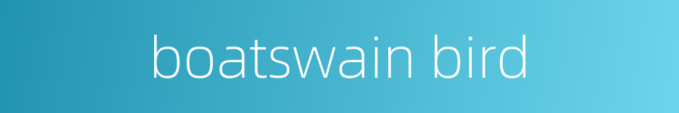 boatswain bird的同义词