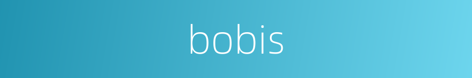 bobis的同义词