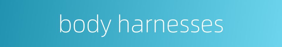 body harnesses的同义词
