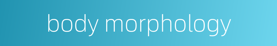 body morphology的同义词