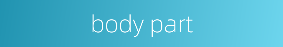 body part的同义词