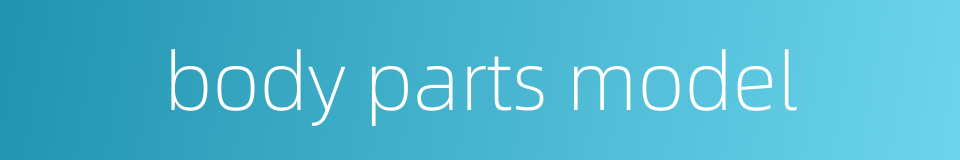 body parts model的同义词