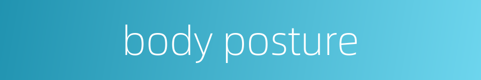 body posture的同义词