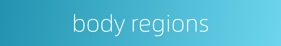 body regions的同义词