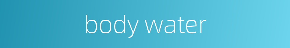body water的同义词