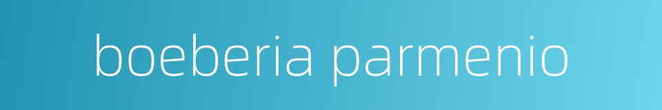 boeberia parmenio的同义词