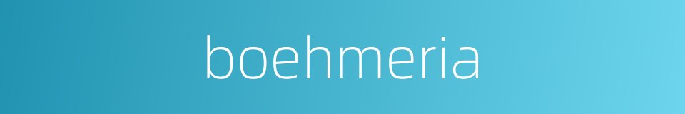 boehmeria的同义词