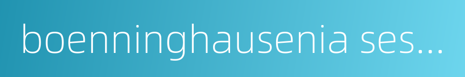 boenninghausenia sessilicarpa的同义词