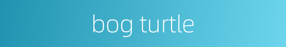 bog turtle的同义词