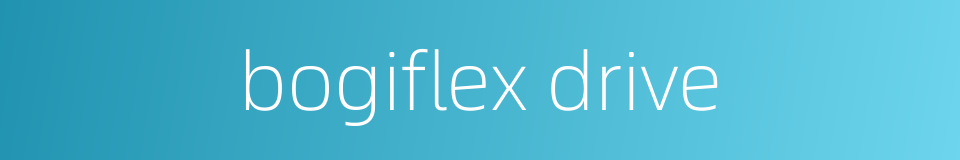 bogiflex drive的同义词