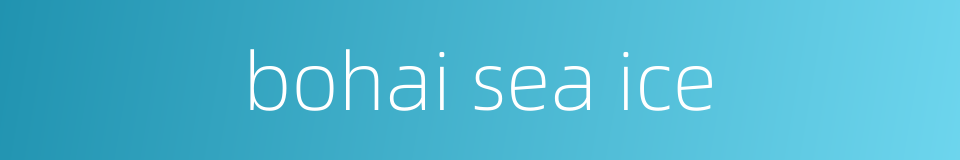 bohai sea ice的同义词