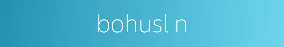 bohusl n的同义词