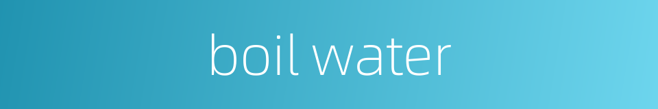 boil water的同义词