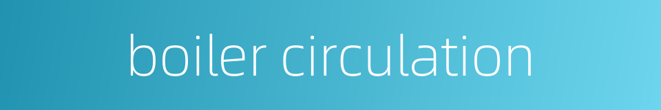 boiler circulation的同义词
