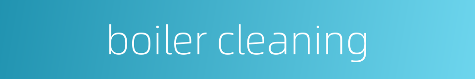 boiler cleaning的同义词