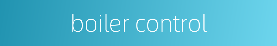 boiler control的同义词