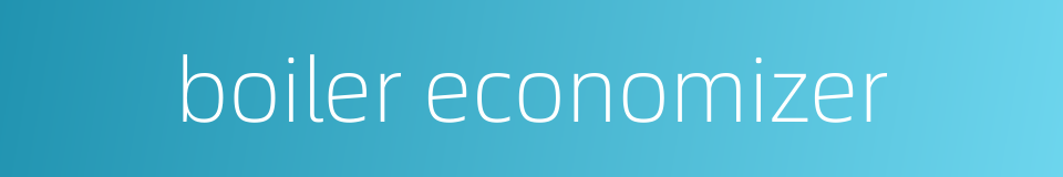 boiler economizer的同义词