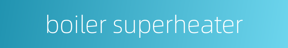 boiler superheater的同义词