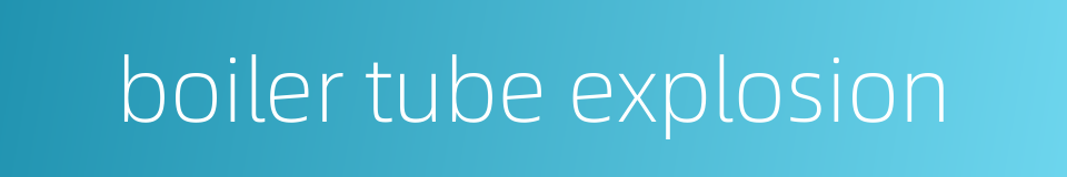 boiler tube explosion的同义词