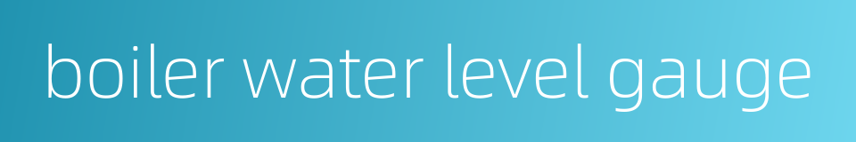 boiler water level gauge的同义词