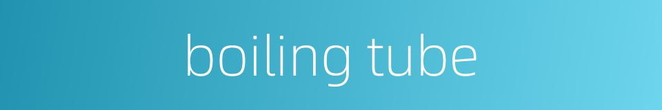 boiling tube的同义词