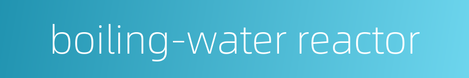 boiling-water reactor的同义词