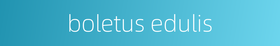 boletus edulis的同义词