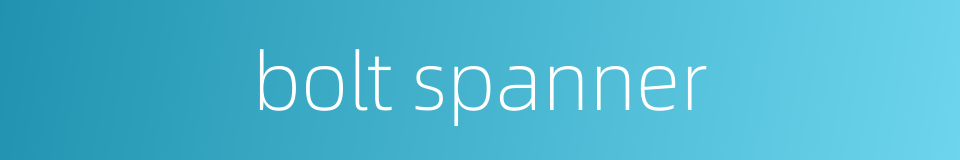 bolt spanner的同义词