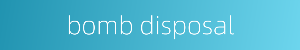 bomb disposal的同义词