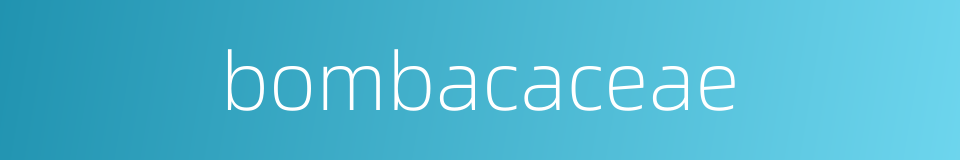 bombacaceae的同义词