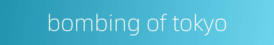 bombing of tokyo的同义词