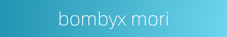 bombyx mori的同义词