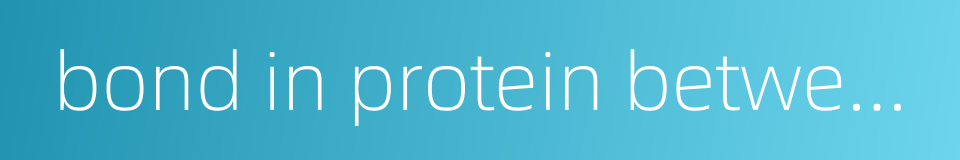 bond in protein between carboxyl radical and amino radical的同义词