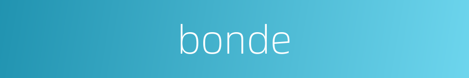 bonde的同义词