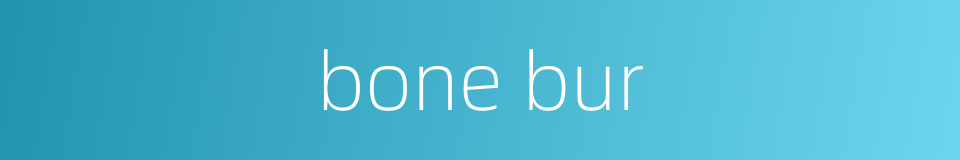 bone bur的同义词