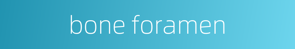 bone foramen的同义词