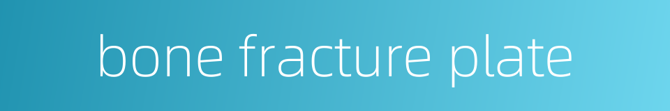 bone fracture plate的同义词