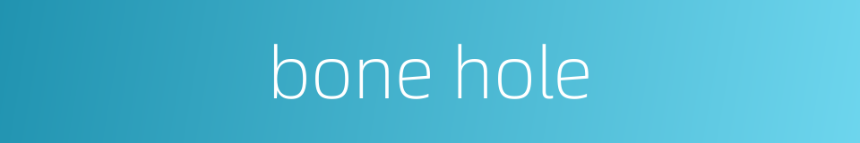 bone hole的同义词