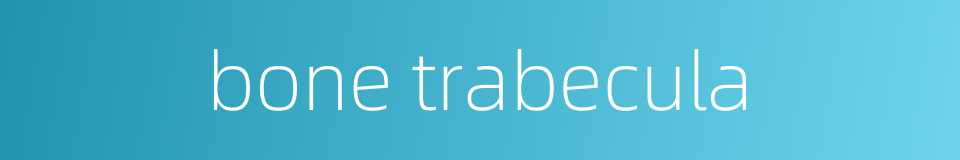 bone trabecula的同义词