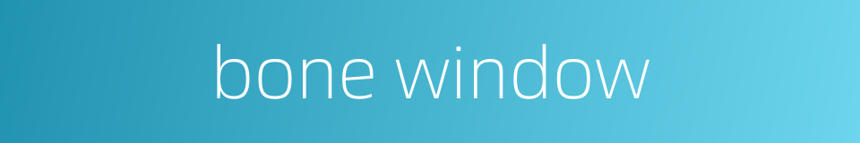 bone window的同义词