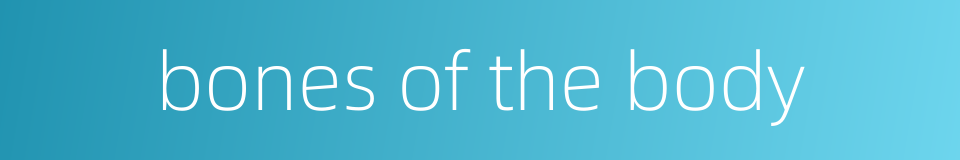 bones of the body的同义词